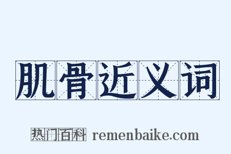 肌骨近义词是什么意思的图片